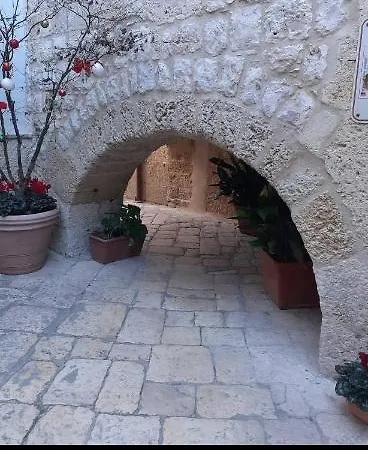 L'edera King אלטאמורה